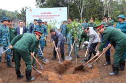 Thủ tướng kêu gọi trồng cây ngay từ những ngày đầu xuân và cả năm