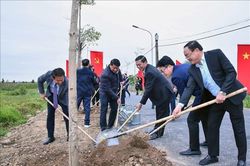 Tết trồng cây: Tạo cảnh quan, bảo vệ môi trường sinh thái