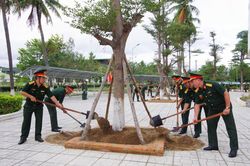 Trường Sĩ quan Thông tin phát động Tết trồng cây 'Đời đời nhớ ơn Bác Hồ'