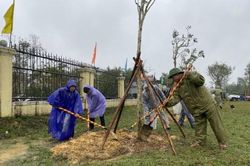 Chính trị - Xã hội Chính trị - Xã hội Hương Trà, Phong Điền phát động Tết trồng cây