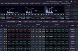 VN-Index tăng 9 điểm trong phiên giao dịch khai Xuân Quý Mão