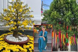 Đón Tết độc đáo như Tăng Thanh Hà: biệt thự ngập sắc hoa, những món ăn ngon và điều bất ngờ thú vị