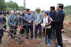 Thủ tướng Chính phủ Phạm Minh Chính: Hoàn tất công tác chuẩn bị để đồng loạt khởi công dự án Vành đai 4 - Vùng Thủ đô