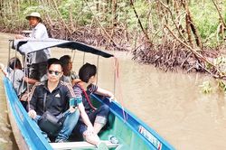 Du lịch sinh thái rừng ngập mặn nơi Đất Mũi
