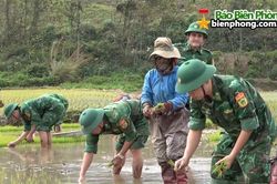 Cùng bà con ra đồng ngày xuân