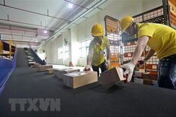 Vietnam Post: 8,65 triệu bưu gửi được vận chuyển trong dịp Tết