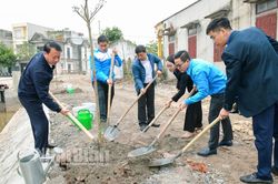 Tỉnh đoàn phát động Tết trồng cây - Đời đời nhớ ơn Bác Hồ