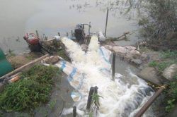 Kinh tế Nông nghiệp - Nông thôn Tiêu úng 'cứu' lúa