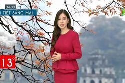 Dự báo thời tiết ngày 29/01/2023