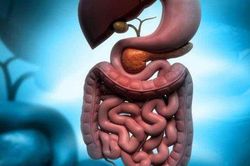 Men vi sinh có thể giúp chống lại vi khuẩn kháng thuốc?