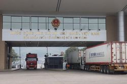 Hàng trăm xe hàng nông sản xuất sang Trung Quốc sau Tết
