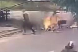Tưới xăng đốt người giữa đường vì ghen tuông