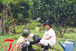 Gian nan tái sinh rừng