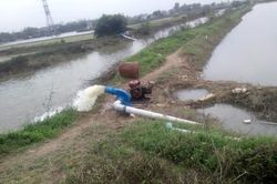 Kinh tế Nông nghiệp - Nông thôn Tiếp tục tiêu úng cho hơn 3.500 ha lúa