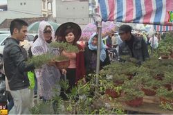 Khai hội chợ Viềng - Phủ Dầy