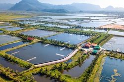 Giảm 30% tiền thuê đất, thuê mặt nước cho đối tượng bị ảnh hưởng bởi dịch COVID-19