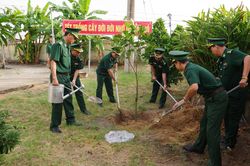 Lực lượng biên phòng phát động Tết trồng cây 'Đời đời nhớ ơn Bác Hồ'
