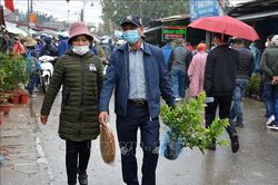 Số ca mắc mới COVID-19 tăng lên 53 ca trong ngày 30/1