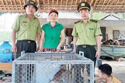 Kinh tế Chỉ dấu tốt trong ý thức bảo vệ động vật rừng
