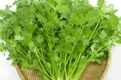 Rau mùi đã được đưa ra khỏi danh mục kiểm soát an toàn thực phẩm của EU