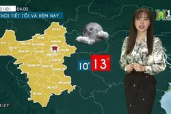 Dự báo thời tiết ngày 31/01/2023