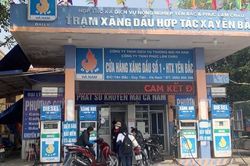 Hàng loạt cửa hàng xăng dầu ở Vĩnh Phúc, Hà Nam, Ninh Bình ngừng bán hàng không rõ lý do