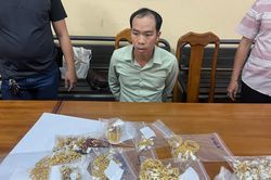 Bắt nghi phạm trộm 100 lượng vàng ở TP.HCM