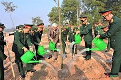 Binh chủng Tăng Thiết giáp phát động 'Tết trồng cây đời đời nhớ ơn Bác Hồ'