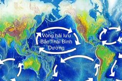 Hệ thống dự đoán các dòng hải lưu lớn