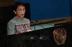 Indonesia hướng đến mục tiêu thúc đẩy hợp tác toàn diện giữa các quốc gia trong khu vực
