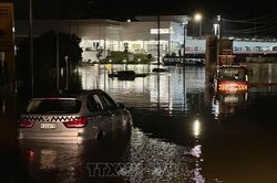 New Zealand: Tăng hỗ trợ tài chính cho Auckland khắc phục hậu quả mưa lũ