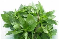 4 loại rau gia vị của Việt Nam được EU gỡ bỏ kiểm soát