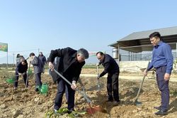 Ngành Nông nghiệp tỉnh phát động 'Tết trồng cây' xuân Quý Mão