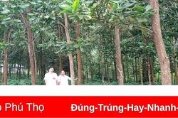 Nâng cao ý thức cho người dân trong quản lý, bảo vệ rừng