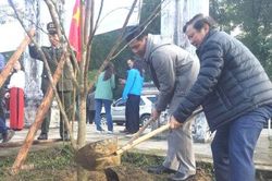 Chính trị - Xã hội Chính trị - Xã hội Trồng rừng để tạo thêm điểm tham quan, du lịch