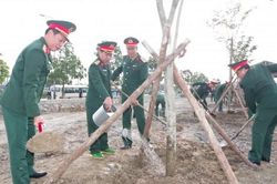 Chính trị - Xã hội Chính trị - Xã hội Bộ CHQS tỉnh phát động tết trồng cây 'Đời đời nhớ ơn Bác Hồ'