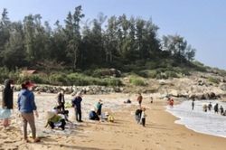 Hà Tĩnh: Người dân kéo nhau vớt 'lộc biển' đầu năm