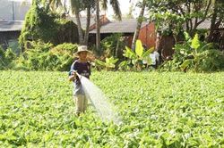 Sóc Trăng: Sẽ giám sát Chương trình giảm nghèo bền vững