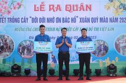 Đà Nẵng trao 65 nghìn cây xanh cho đoàn viên, thanh niên
