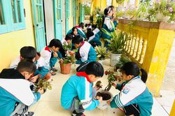 Vận dụng giáo dục STEM vào hoạt động Tết trồng cây