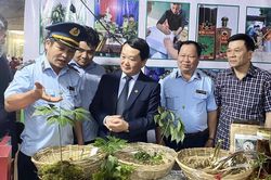 Kỳ vọng về phiên chợ sâm Ngọc Linh và các dược liệu huyện Tu Mơ Rông