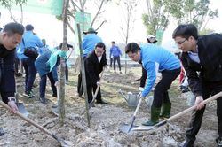Tỉnh đoàn, hội Doanh nhân trẻ Nghệ An trồng hơn 5000 cây xanh hưởng ứng Tết trồng cây 2023