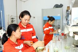 Cần tuyển dụng nhiều vị trí việc làm tại Công ty Cổ phần Xi măng Sông Lam Nghệ An