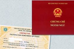 Thêm 6 vị trí công chức, viên chức được bỏ chứng chỉ ngoại ngữ, tin học từ 2023