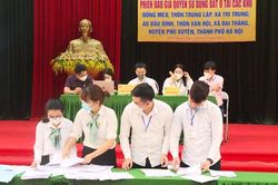 Năm 2023, huyện Phú Xuyên dự kiến thu 275 tỷ đồng từ đấu giá QSD đất