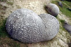 Kỳ bí những tảng đá 'tự lớn' thêm 5 cm sau 1.000 năm