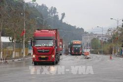 Tín hiệu vui từ giao thương hàng hóa đầu năm tại các cửa khẩu Lạng Sơn