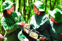 Xuân về trên nông trường cao su