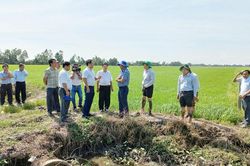 Bảo vệ đồng ruộng mùa Tết