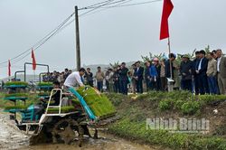 Trình diễn mạ khay cấy máy tại xã Yên Thành